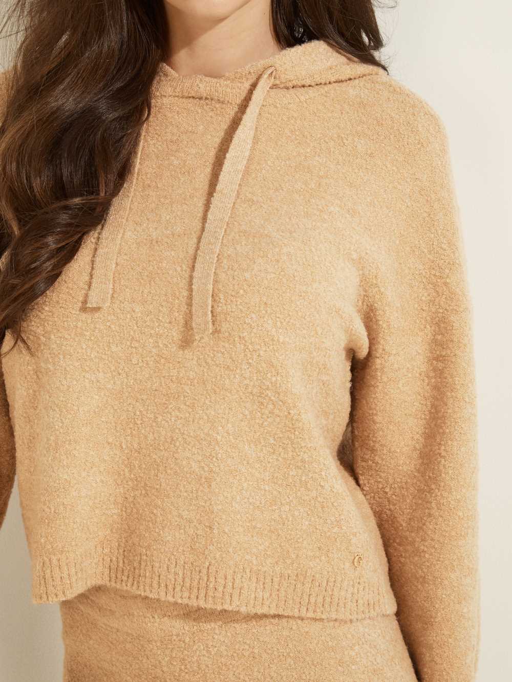 Multicolor Women's Guess Reeda Wool-Blend Shimmer Hoodie Australia Sale | 815RNPQAJ