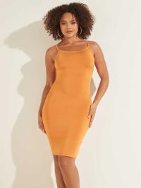 Apricot
